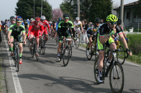 Memorial Pinelli 2015: la stagione ciclistica a Collecchio si apre il 15 marzo - G.S. Virtus Collecchio