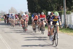 Successo per il Memorial Pinelli 2019 - G.S. Virtus Collecchio